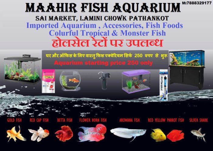 Maahir Fish Aquarium & Accessory