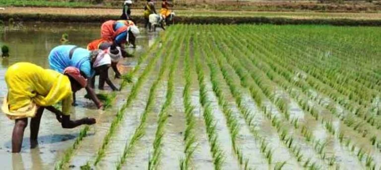 Best Government Schemes And Initiatives For Agricultutre Development